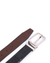 Belt 420201